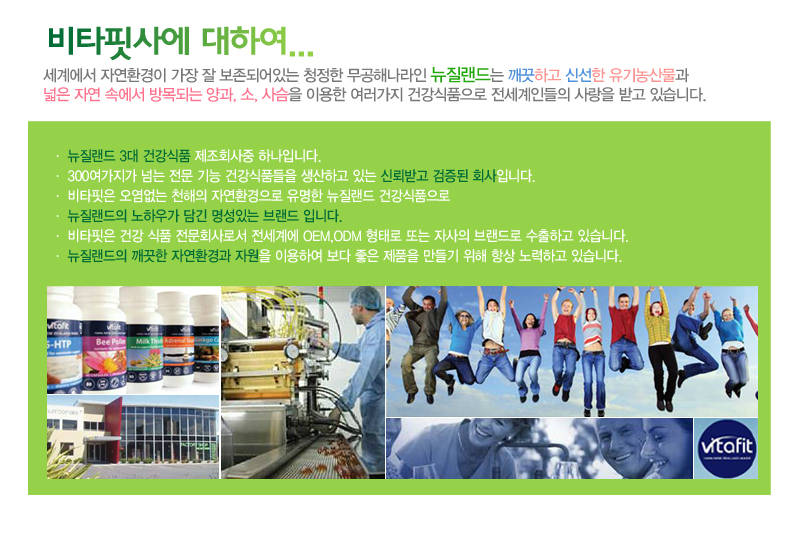 베스트뉴즈